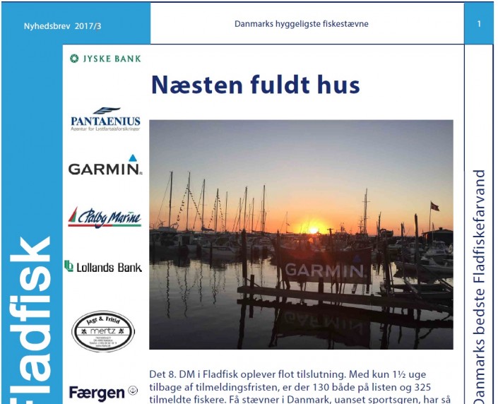nyhedsbrev20173